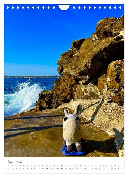 Produktbild: Schorschi auf Reisen ein kleiner Esel unterwegs auf der Insel Malta (Wandkalender 2026 DIN A4 hoch), CALVENDO Monatskalender