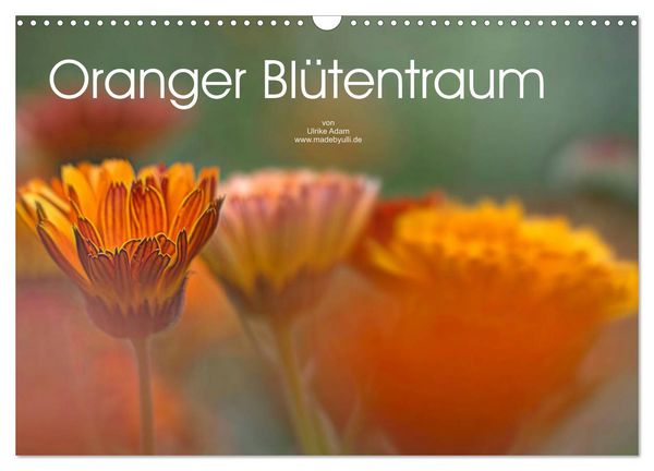 Produktbild: Oranger Bl&uuml;tentraum (Wandkalender 2026 DIN A3 quer), CALVENDO Monatskalender