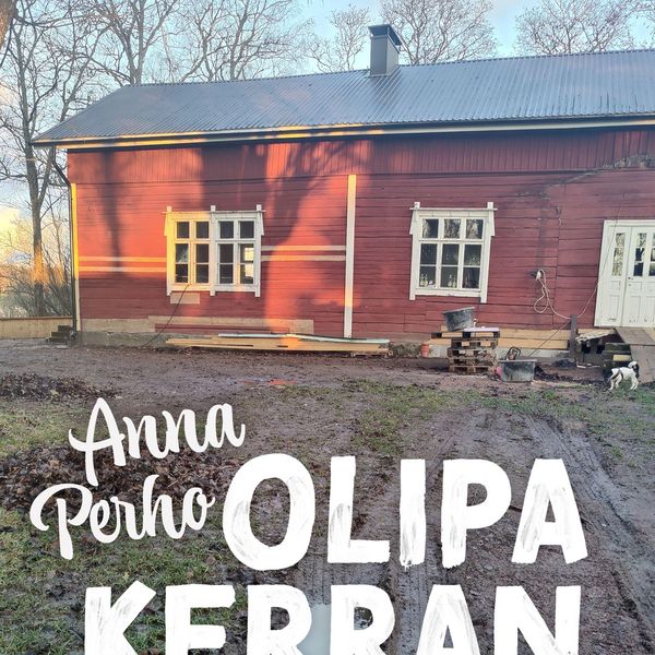 Produktbild: Olipa kerran talo - kuinka menetin rahani ja j&auml;rkev&auml;n ihmisen maineen