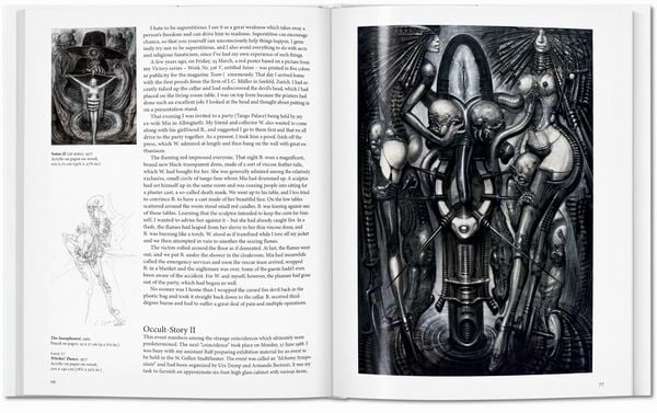 Produktbild: Giger
