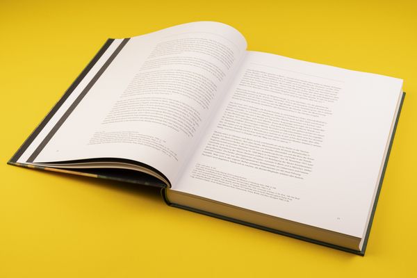 Produktbild: Otto Mueller. Catalogue Raisonn&eacute;