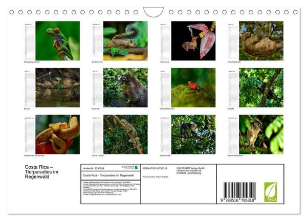 Produktbild: Costa Rica &ndash; Tierparadies im Regenwald (Wandkalender 2027 DIN A4 quer), CALVENDO Monatskalender