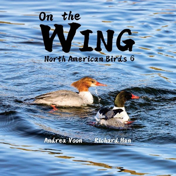 Produktbild: On the Wing - North American Birds 6