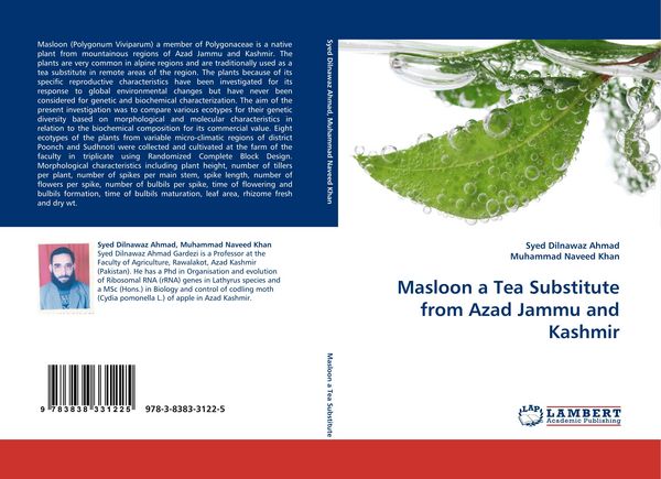 Produktbild: Masloon a Tea Substitute from Azad Jammu and Kashmir