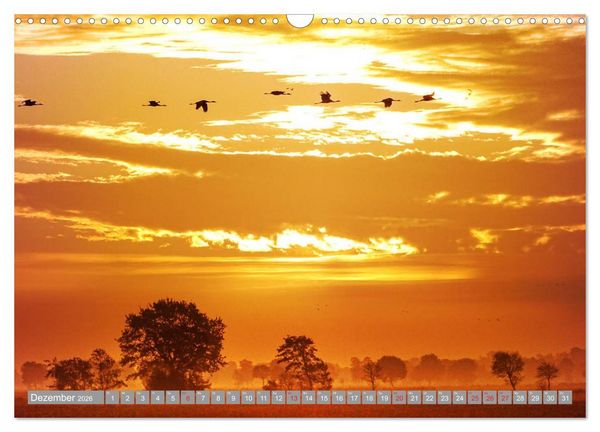 Produktbild: KranichRomantik (Wandkalender 2026 DIN A3 quer), CALVENDO Monatskalender