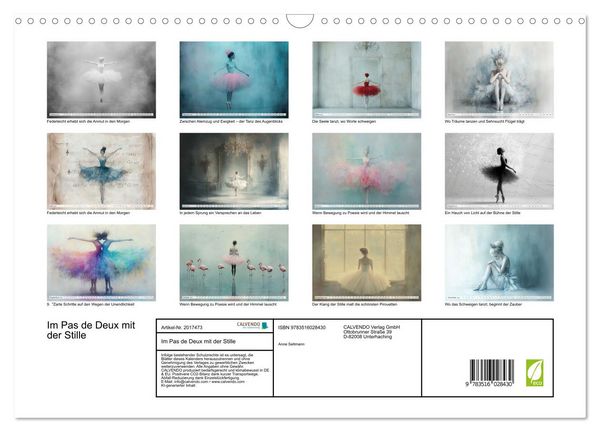 Produktbild: Im Pas de Deux mit der Stille (Wandkalender 2026 DIN A3 quer), CALVENDO Monatskalender