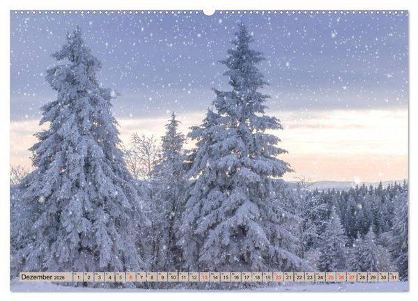 Produktbild: Leise durch den Wald. Sich Zeit nehmen und der Stille lauschen (Wandkalender 2026 DIN A2 quer), CALVENDO Monatskalender