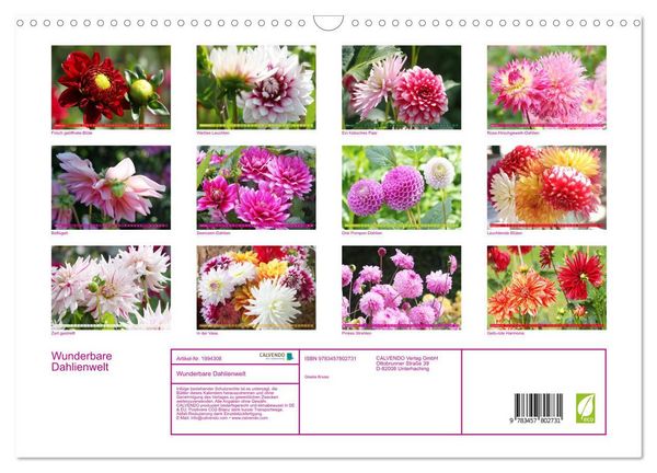 Produktbild: Wunderbare Dahlienwelt (Wandkalender 2026 DIN A3 quer), CALVENDO Monatskalender