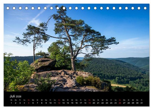 Produktbild: Mystischer Pf&auml;lzer Wald (Tischkalender 2026 DIN A5 quer), CALVENDO Monatskalender