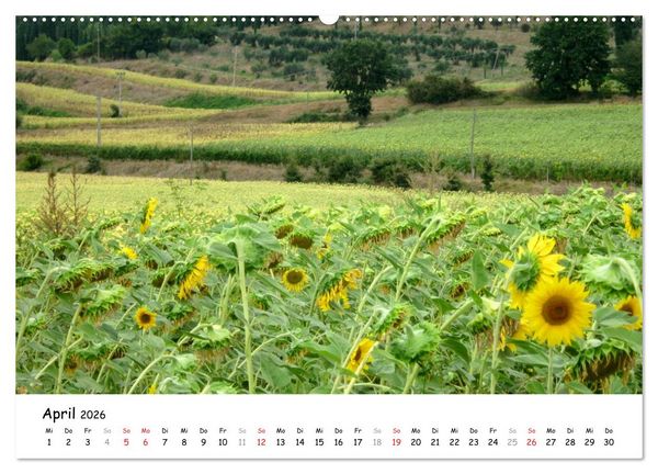 Produktbild: Camino di Assisi - Franziskusweg (hochwertiger Premium Wandkalender 2026 DIN A2 quer), Kunstdruck in Hochglanz