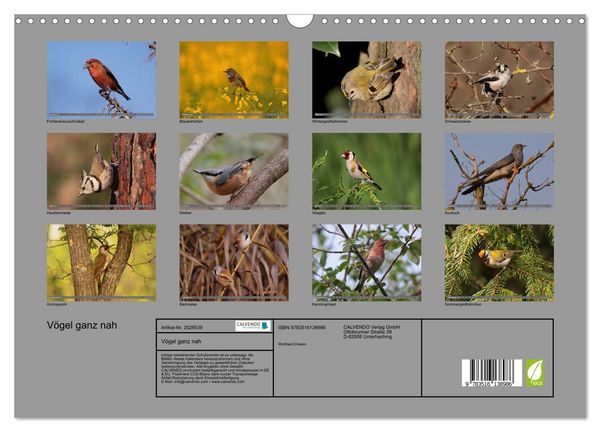 Produktbild: V&ouml;gel ganz nah (Wandkalender 2026 DIN A3 quer), CALVENDO Monatskalender