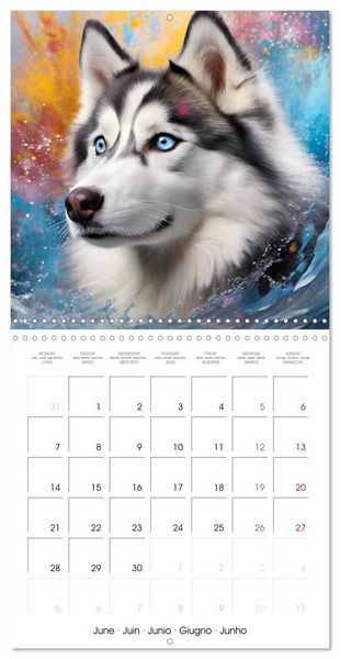 Produktbild: Colourful Splash Dogs (Wall Calendar 2027 12 &times; 12 Inch) CALVENDO 12 Month Wall Calendar