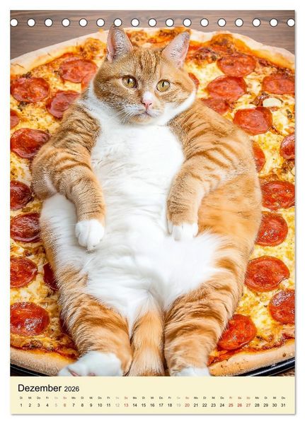 Produktbild: FETTE KATZEN - Foodporn auf vier Pfoten (Tischkalender 2026 DIN A5 hoch), CALVENDO Monatskalender