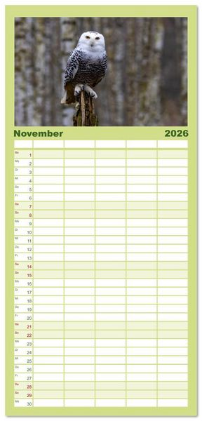 Produktbild: Familienplaner 2026 - Eulen - Fl&uuml;gel der Nacht mit 5 Spalten (Wandkalender, 21 x 45 cm) CALVENDO