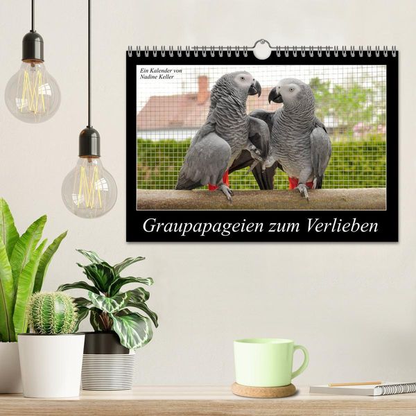 Produktbild: Graupapageien zum Verlieben (Wandkalender 2026 DIN A4 quer), CALVENDO Monatskalender