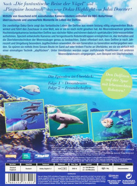 Produktbild: Delfine hautnah