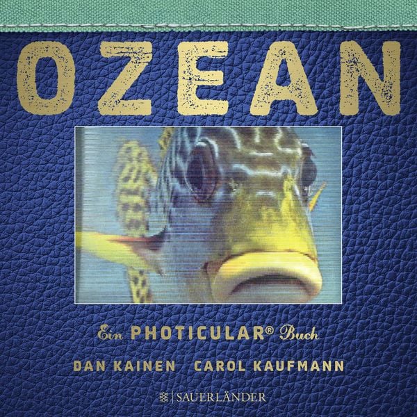 Ozean, Gebundene Ausgabe von Dan Kainen,Carol Kaufmann, Fischer Sauerländer, 978-3-7373-5208-6
