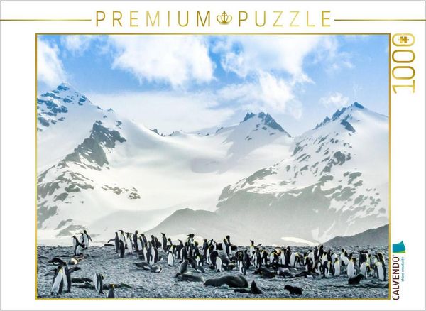 CALVENDO Puzzle Pinguin Kolonie im Naturparadies Antarktis | 1000 Teile Lege-Größe 64x48cm Foto-Puzzle für glückliche Stunden