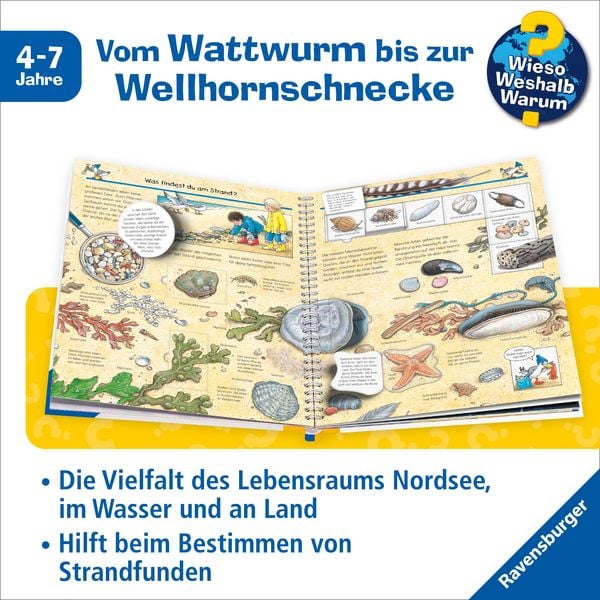 Produktbild: Wieso? Weshalb? Warum? Band 17 - Komm mit ans Meer