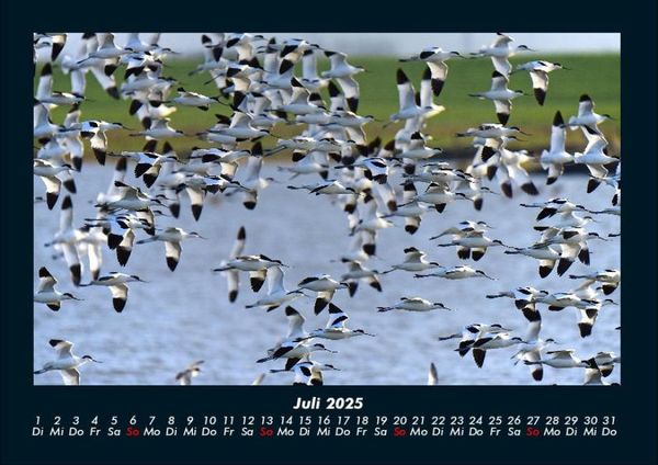 Produktbild: Nordsee 2025 Fotokalender DIN A4