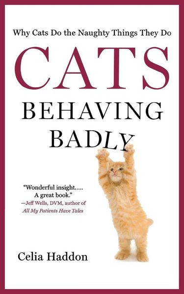 Produktbild: CATS BEHAVING BADLY