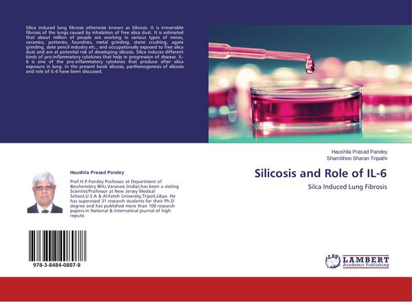 Produktbild: Silicosis and Role of IL-6