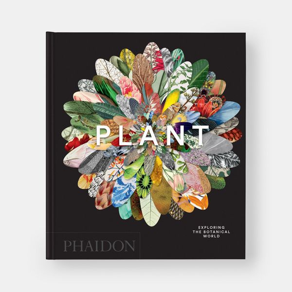 Produktbild: Plant