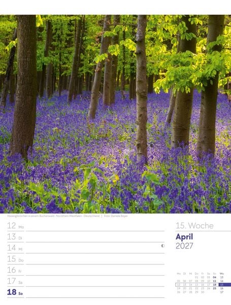 Produktbild: Unser Wald Wochenplaner Kalender 2027