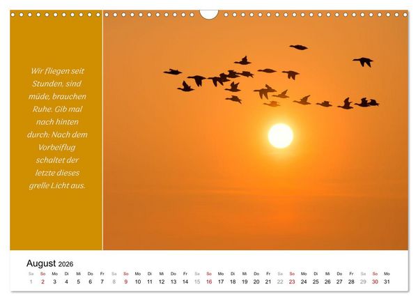 Produktbild: Tiere und feiner Humor (Wandkalender 2026 DIN A3 quer), CALVENDO Monatskalender