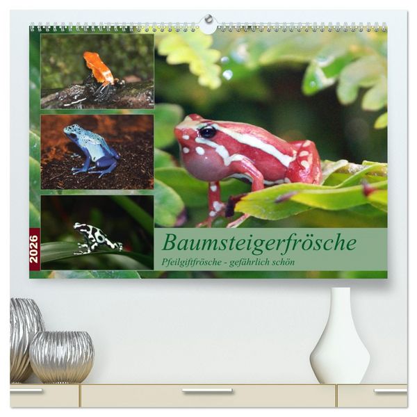 Produktbild: Baumsteigerfr&ouml;sche. Pfeilgiftfr&ouml;sche - gef&auml;hrlich sch&ouml;n (hochwertiger Premium Wandkalender 2026 DIN A2 quer), Kunstdruck in Hochglanz