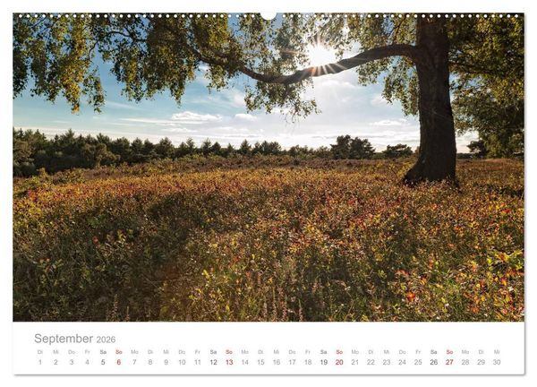 Produktbild: Lichtreise durch Schleswig-Holstein (hochwertiger Premium Wandkalender 2026 DIN A2 quer), Kunstdruck in Hochglanz