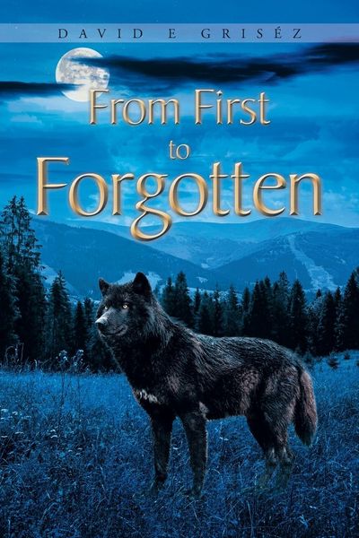 Produktbild: From First to Forgotten