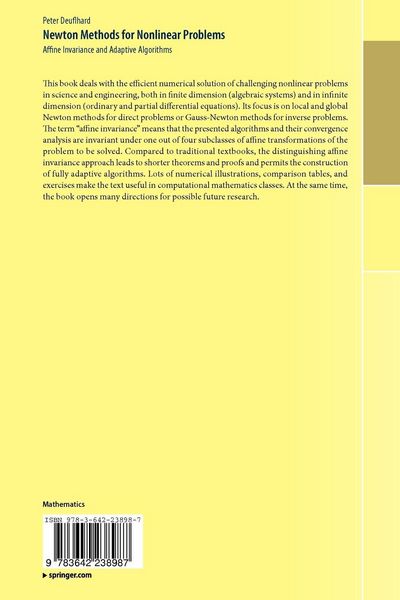 Produktbild: Newton Methods for Nonlinear Problems