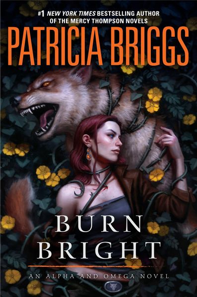Produktbild: Briggs, P: Burn Bright