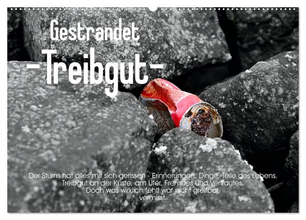 Gestrandet -Treibgut- (Wandkalender 2026 DIN A2 quer), CALVENDO Monatskalender