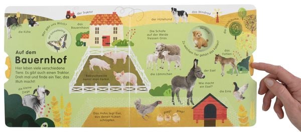 Produktbild: Erstes Lernen Drehen. So viele Tiere