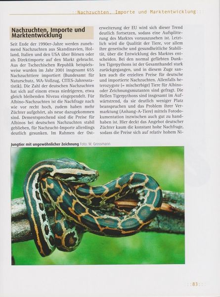 Produktbild: Tigerpythons