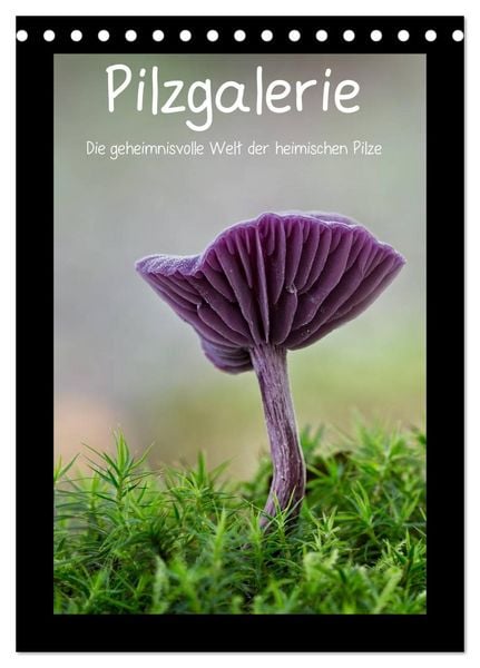 Produktbild: Pilzgalerie - Die geheimnisvolle Welt der heimischen Pilze (Tischkalender 2026 DIN A5 hoch), CALVENDO Monatskalender