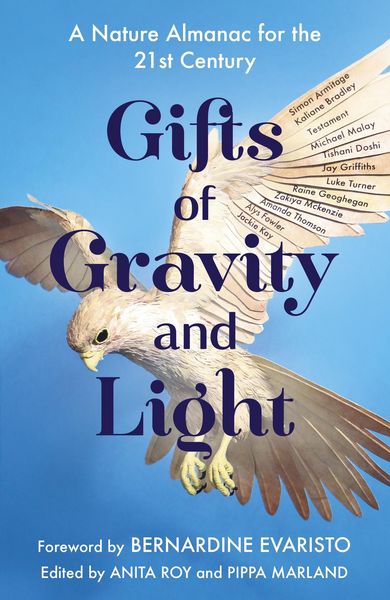 Produktbild: Gifts of Gravity and Light