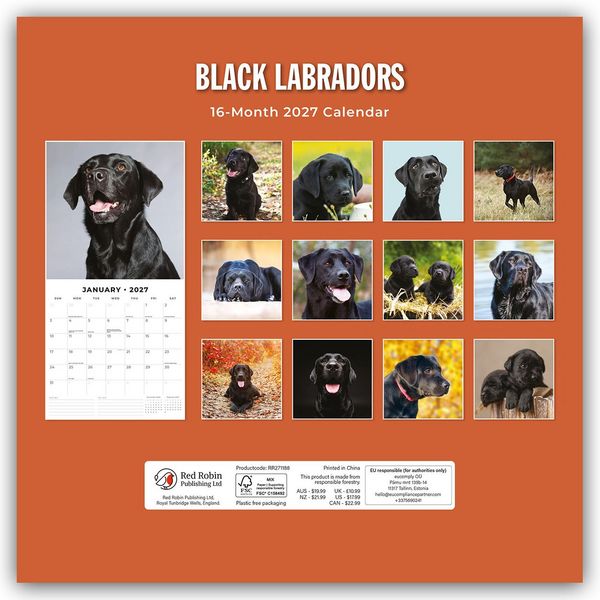 Produktbild: Black Labrador Retrievers &ndash; Schwarze Labrador Retriever 2027 &ndash; 16-Monatskalender