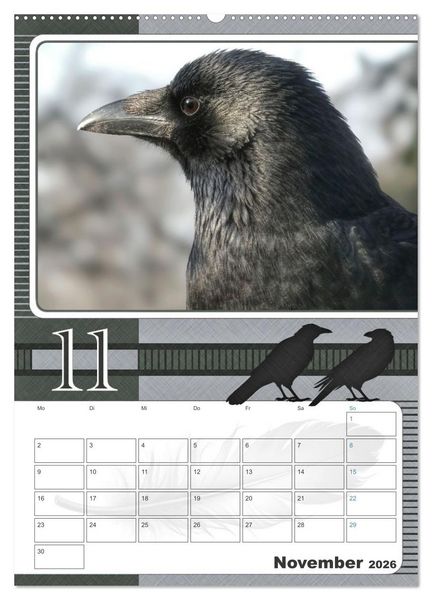 Produktbild: Kr&auml;hen - Clever notiert! Mit K&ouml;pfchen durchs ganze Jahr (hochwertiger Premium Wandkalender 2026 DIN A2 hoch), Kunstdruck in Hochglanz