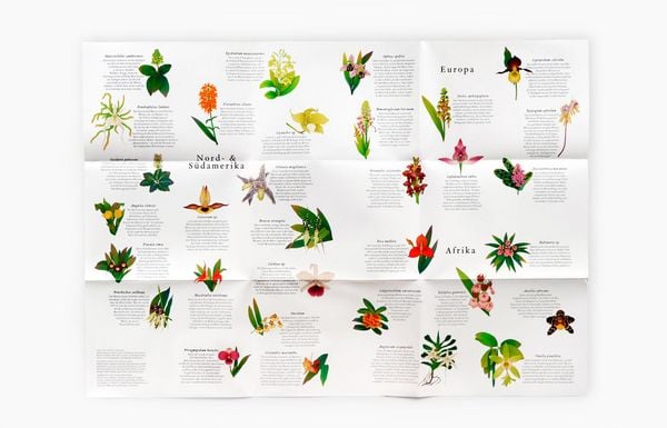 Produktbild: In 50 Orchideen um die Welt
