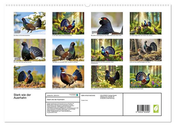Produktbild: Stark wie der Auerhahn (hochwertiger Premium Wandkalender 2026 DIN A2 quer), Kunstdruck in Hochglanz