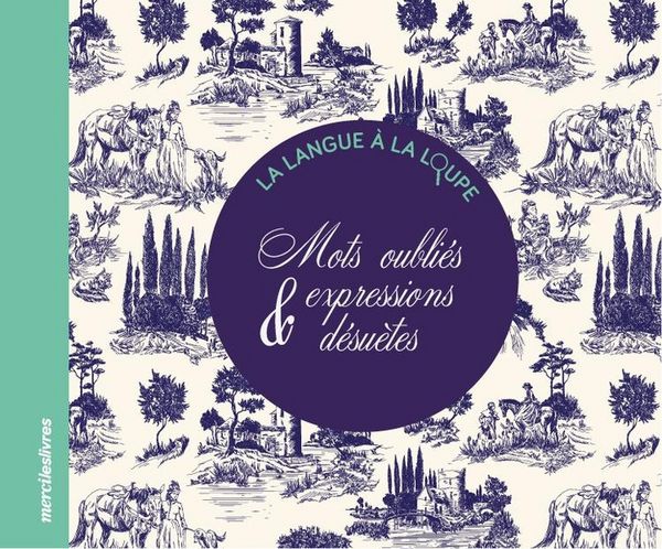 Produktbild: Mots oubli&eacute;s & expressions d&eacute;su&egrave;tes
