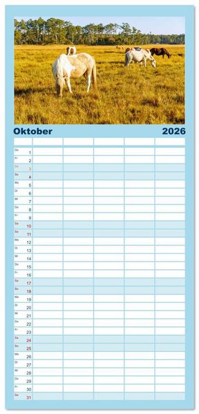 Produktbild: Familienplaner 2026 - Virginia. Amerikanische Sch&ouml;nheit zwischen K&uuml;ste und Bergen mit 5 Spalten (Wandkalender, 21 x 45 cm) CALVENDO
