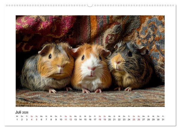 Produktbild: Mehr Schwein mit Meerschwein (Wandkalender 2026 DIN A2 quer), CALVENDO Monatskalender