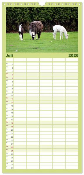 Produktbild: Familienplaner 2026 - Lama-Kalender mit 5 Spalten (Wandkalender, 21 x 45 cm) CALVENDO