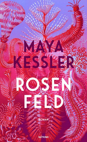 Produktbild: Rosenfeld