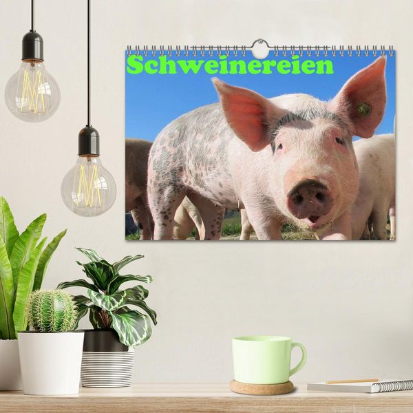 Produktbild: Schweinereien (Wandkalender 2026 DIN A4 quer), CALVENDO Monatskalender