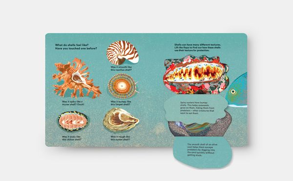Produktbild: Shells... and what they hide inside
